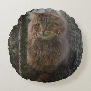 Maine Coon Cat Pet Round Pillow