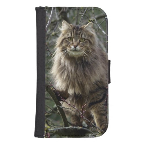 Maine Coon Cat Pet Wallet Phone Case For Samsung Galaxy S4