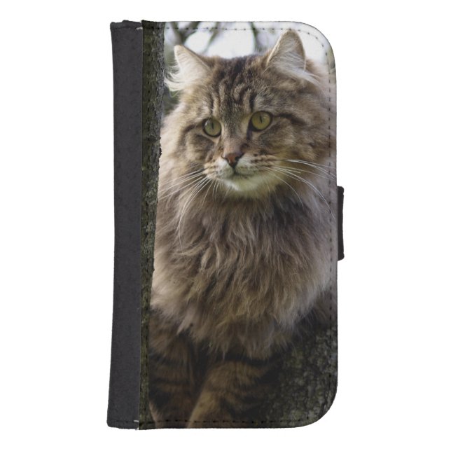 Maine Coon Cat Pet Samsung Galaxy Wallet Case (Front)