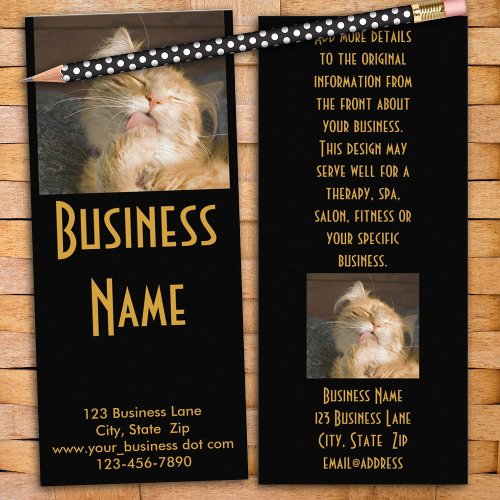 Maine Coon Cat Photo Animal Care Business Rack Card