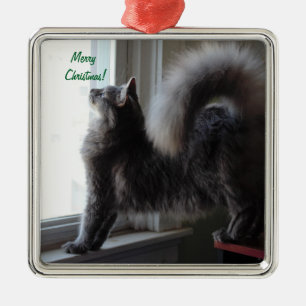 Maine Coon Cat Photo Metal Ornament