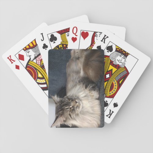 Maine Coon Cat Poker Cards