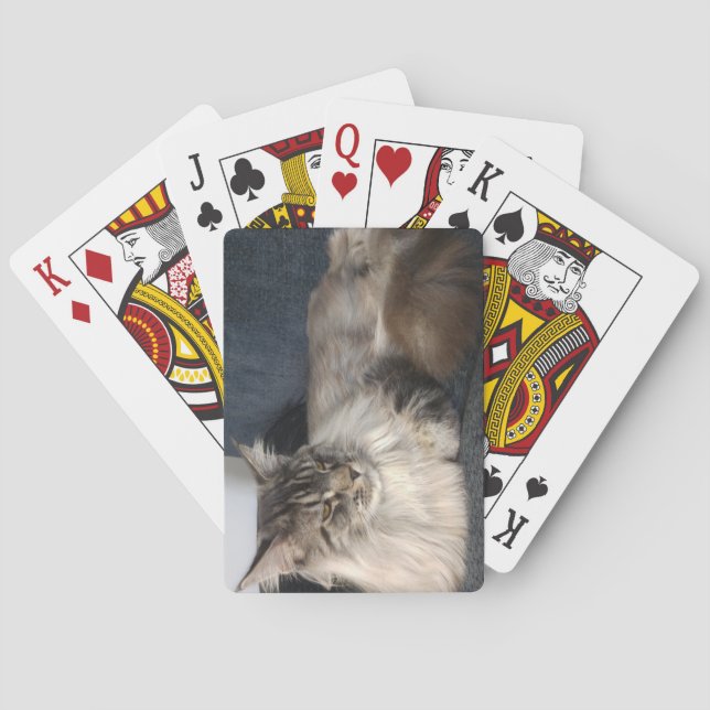 Maine Coon Cat Poker Cards (Back)