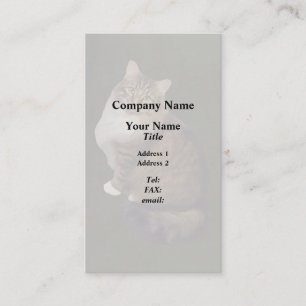 Maine Coon Cat Portrait Business Card