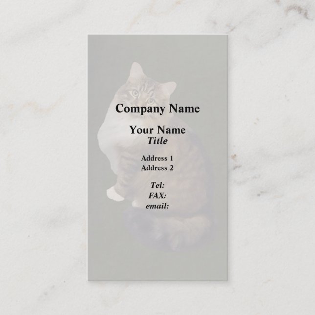 Maine Coon Cat Portrait Business Card (Front)