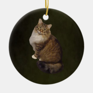 Maine Coon Cat Portrait Ceramic Ornament