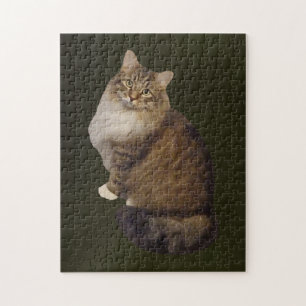 Maine Coon Cat Portrait Jigsaw Puzzle