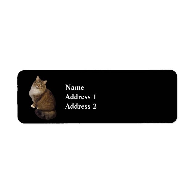 Maine Coon Cat Portrait Label (Front)