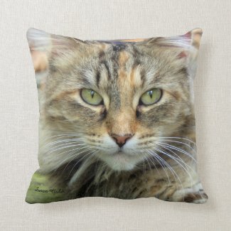Maine Coon Cat Portrait Throw Pillow