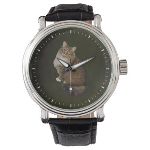 Maine Coon Cat Portrait Watch