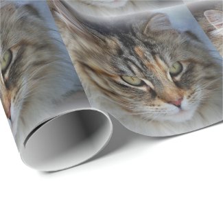 Maine Coon Cat Portrait Wrapping Paper