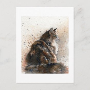 Maine Coon Cat Postcard by GailRagsdaleArt at Zazzle