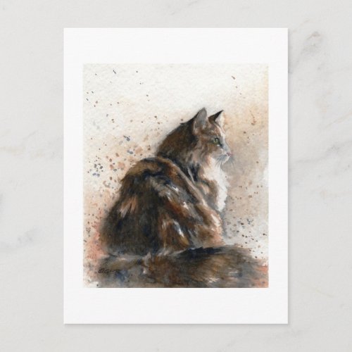 Maine Coon Cat Postcard