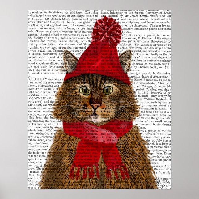Maine Coon Cat Poster (Front)