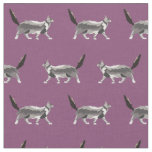 maine coon cat purple fabric