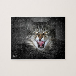 Maine Coon Cat Puzzle