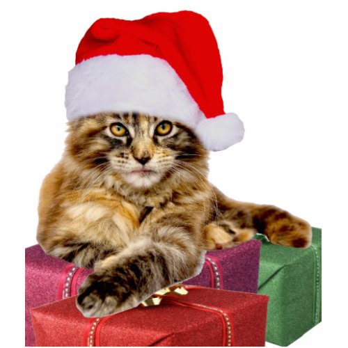 Maine Coon Cat Santa  Gifts 2x3 Ornament Cutout