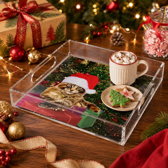 Maine Coon Cat Santa & Gifts Christmas Tree Behind Acrylic Tray (Maine Coon Cat Santa & Gifts Christmas Tree Behind Acrylic Tray)