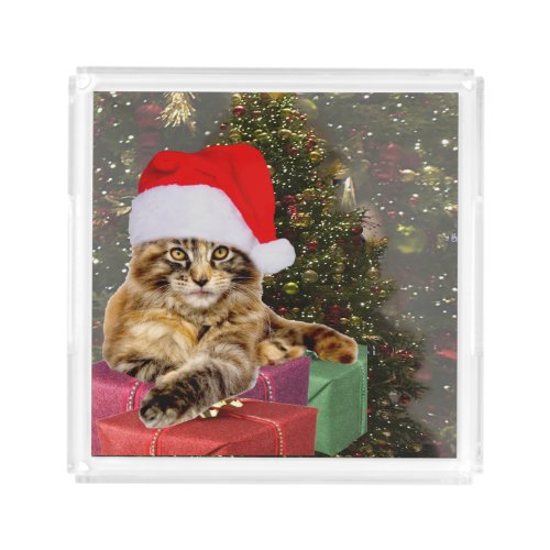 Maine Coon Cat Santa  Gifts Christmas Tree Behind Acrylic Tray