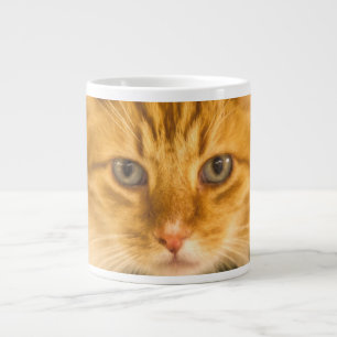 MAINE COON CAT STARE DOWN GIANT COFFEE MUG