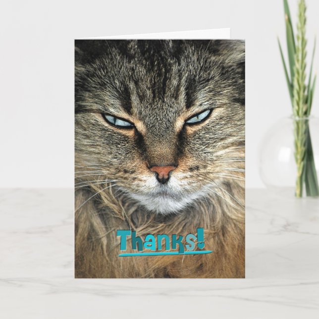 Maine Coon Cat Thanks Thank You Card (Front)