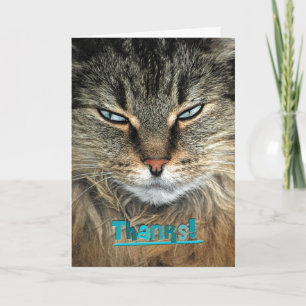 Maine Coon Cat Thanks Thank You Card