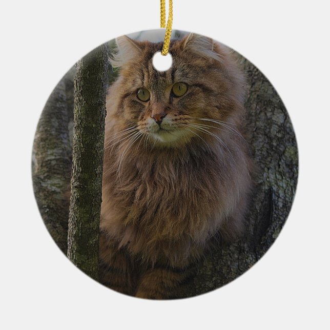 Maine Coon Cat  -  Tree Cat Ceramic Ornament (Front)