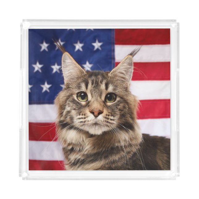 Maine Coon Cat With American Flag Acrylic Tray (Front)