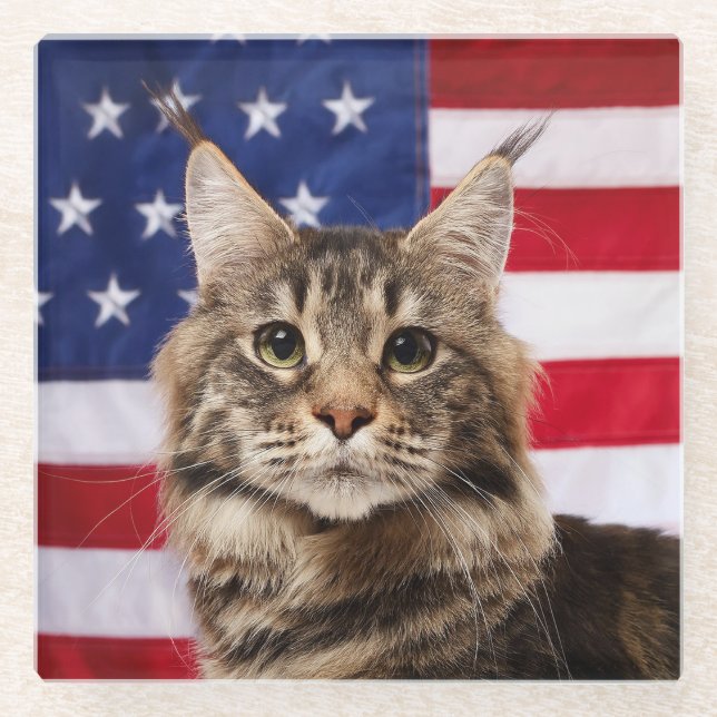 Maine Coon Cat With American Flag Glass Coaster (Front)