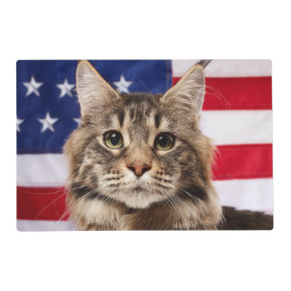 Maine Coon Cat With American Flag Placemat