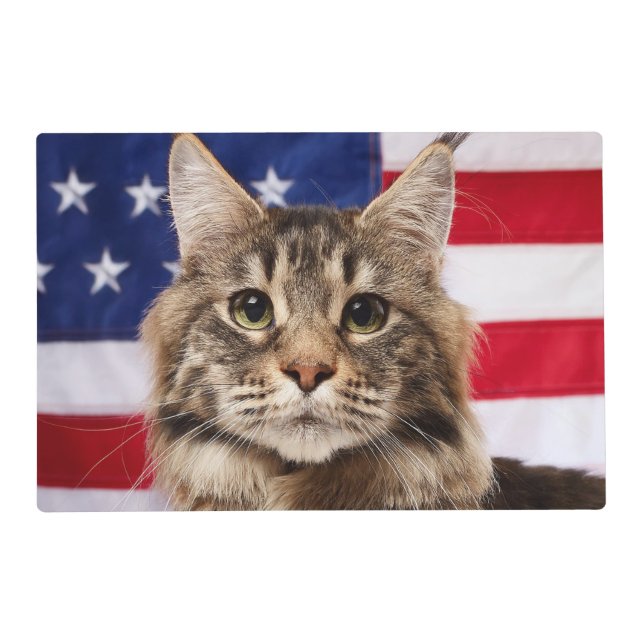 Maine Coon Cat With American Flag Placemat (Front)