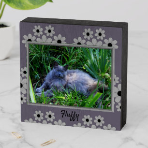 Maine Coon Cat with Daisy  Border Wooden Box Sign