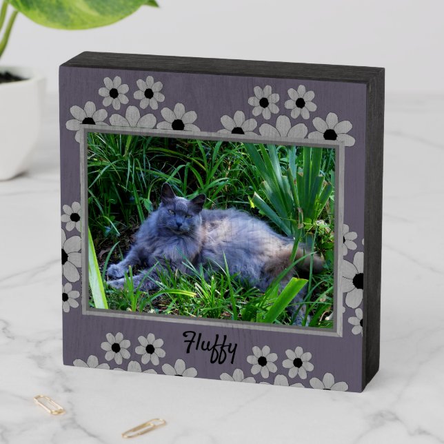 Maine Coon Cat with Daisy  Border Wooden Box Sign (In Situ Horizontal)
