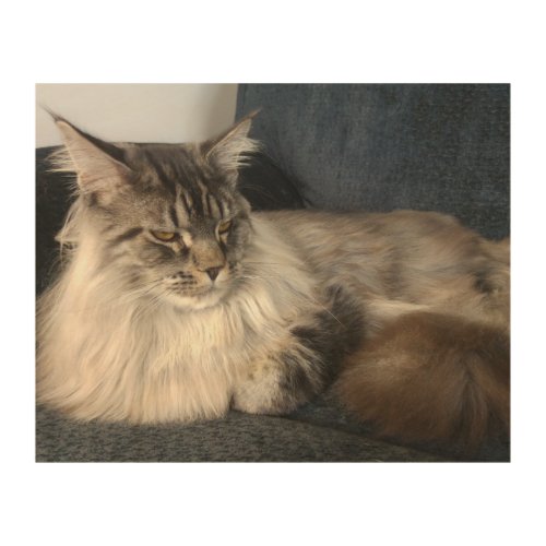 Maine Coon Cat Wood Wall Art