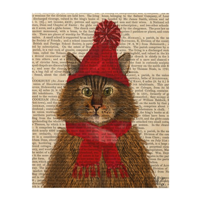 Maine Coon Cat Wood Wall Art (Front)