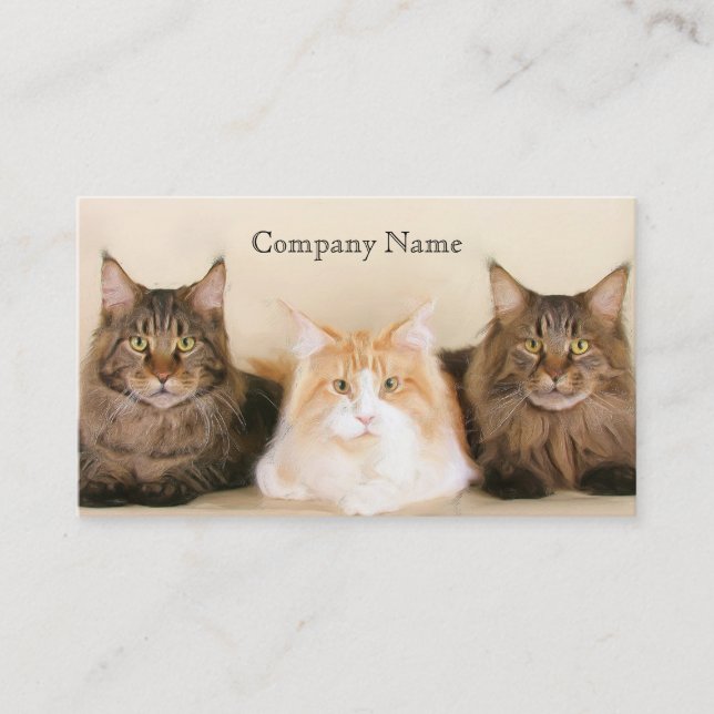 Maine coon cats business cards (Front)