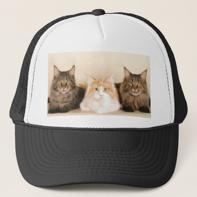 Maine coon Cats Cap (Front)