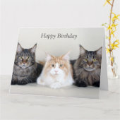 Maine Coon Cats Cute Photo Custom Birthday Card 