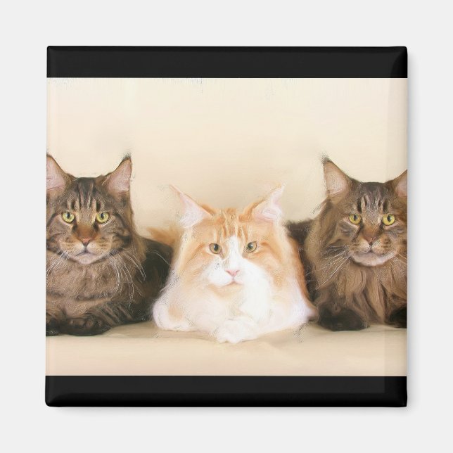 Maine coon Cats Magnet (Front)