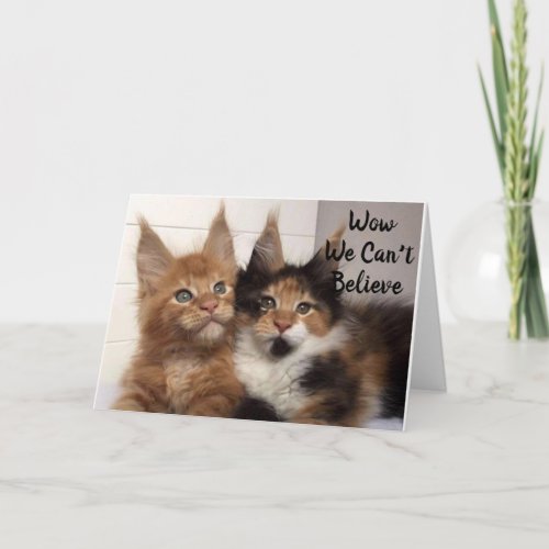 MAINE COON CATS SAY 40 YOU BIRTHDAY CARD