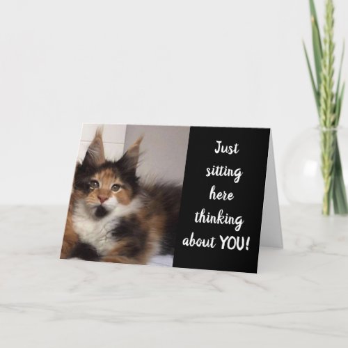 MAINE COON CATS SAY 40 YOU BIRTHDAY CARD