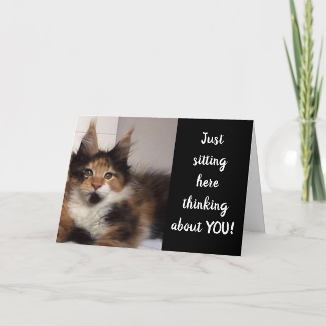 MAINE COON CATS SAY **40?** YOU? BIRTHDAY CARD (Front)