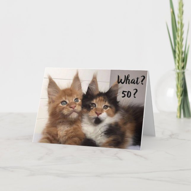 MAINE COON CATS SAY **50?** YOU? BIRTHDAY CARD (Front)