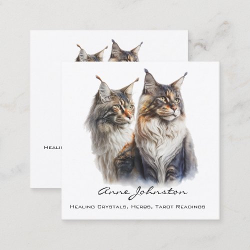 Maine Coon Cats Square Business Card