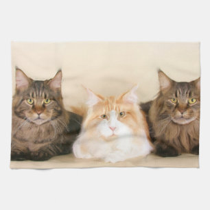 Maine Coon Cats Towel
