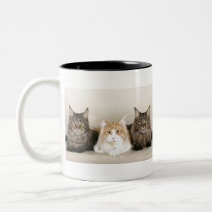 Maine Coon Cats Two-Tone Coffee Mug