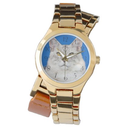 Maine-coon-cats Wrist Watch