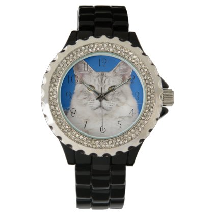 Maine-coon-cats Wrist Watch