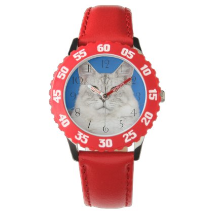 Maine-coon-cats Wristwatch