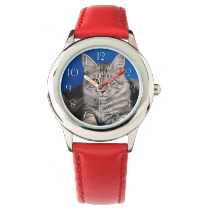 Maine-coon-cats Wristwatch